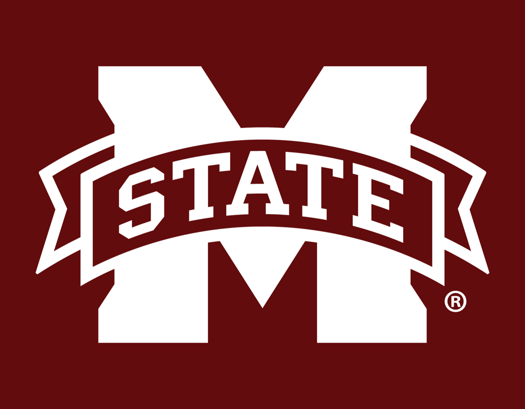 Mississippi State Bulldogs 2009-Pres Alternate Logo v2 diy fabric transfer